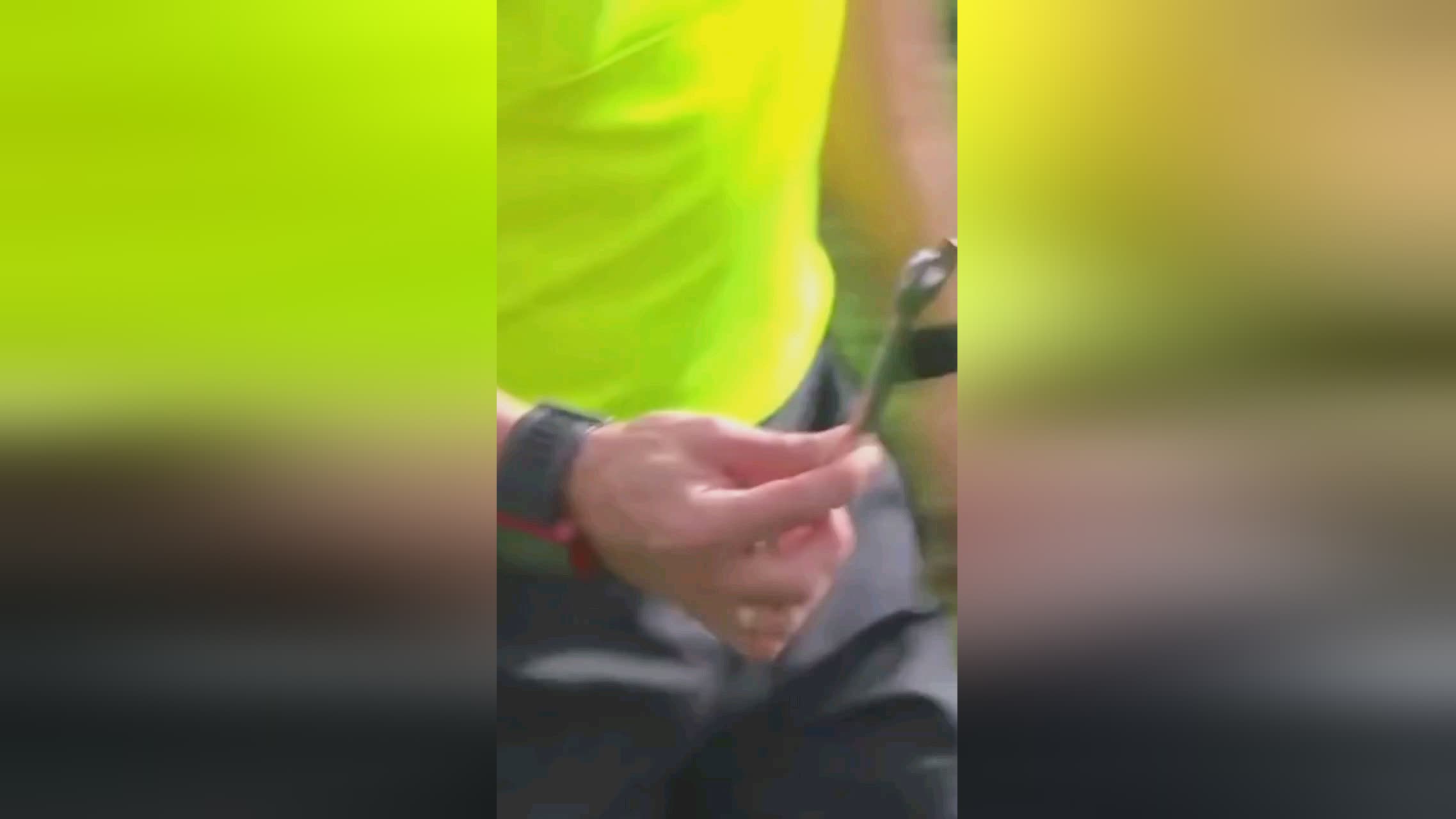 遍认